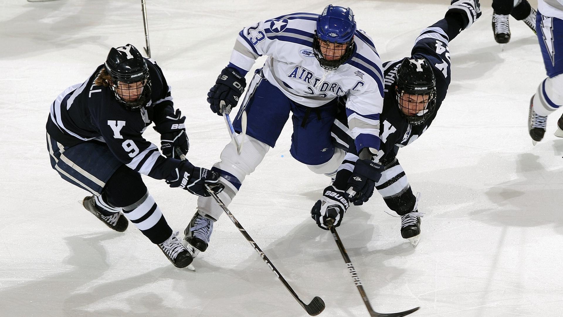 欧冠焦点战，拜仁主场誓雪前耻，孔帕尼率队直面旧主安德莱赫特，圣吉联合黑马光环遭遇严峻考验